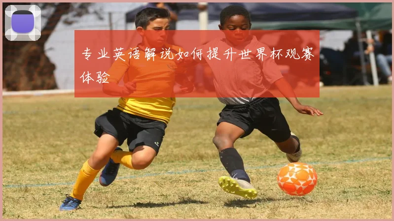 专业英语解说如何提升世界杯观赛体验