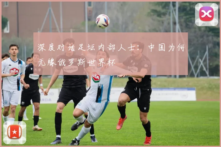 深度对话足坛内部人士：中国为何无缘俄罗斯世界杯