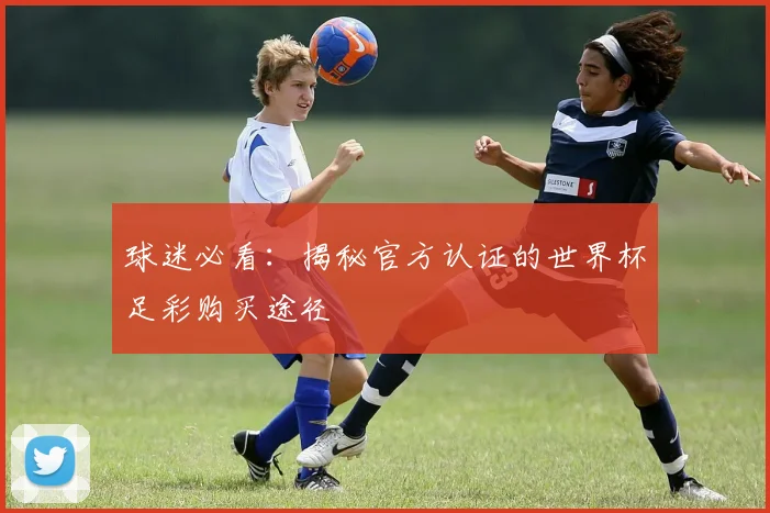 球迷必看:揭秘官方认证的世界杯足彩购买途径