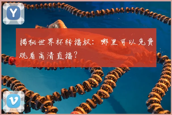 揭秘世界杯转播权：哪里可以免费观看高清直播？