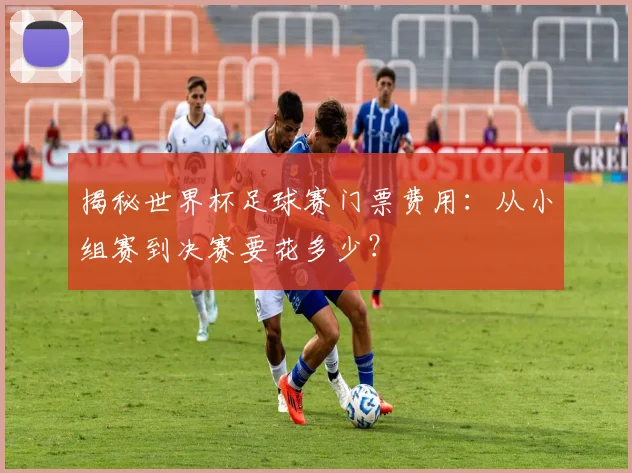 揭秘世界杯足球赛门票费用：从小组赛到决赛要花多少？