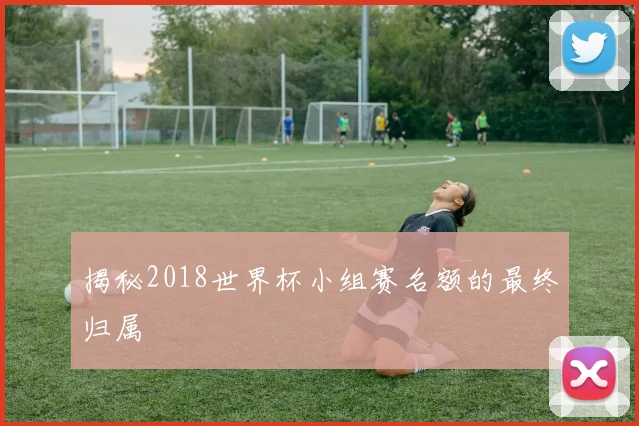 揭秘2018世界杯小组赛名额的最终归属