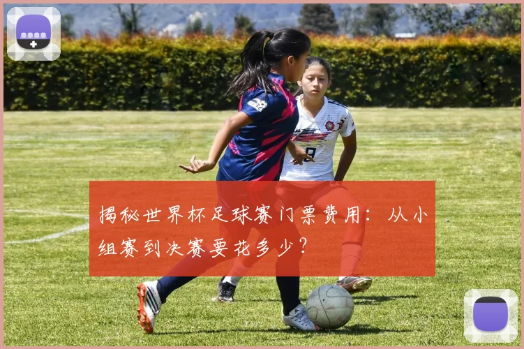 揭秘世界杯足球赛门票费用：从小组赛到决赛要花多少？