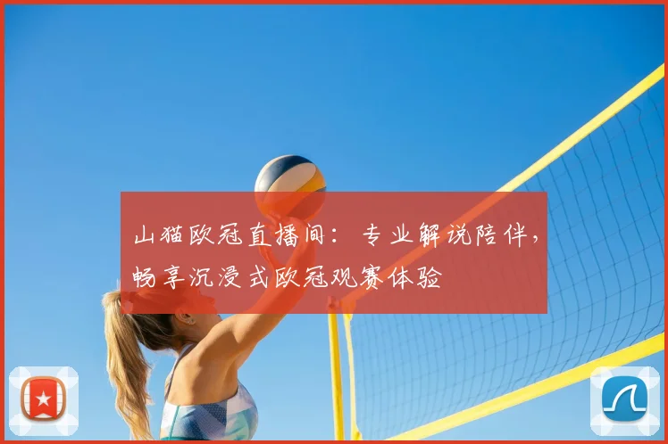 山猫欧冠直播间：专业解说陪伴，畅享沉浸式欧冠观赛体验