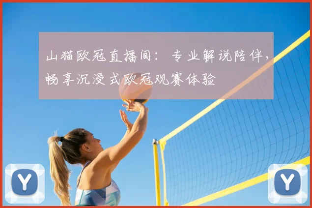 山猫欧冠直播间：专业解说陪伴，畅享沉浸式欧冠观赛体验