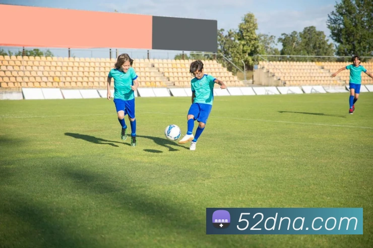 多媒体互动体验